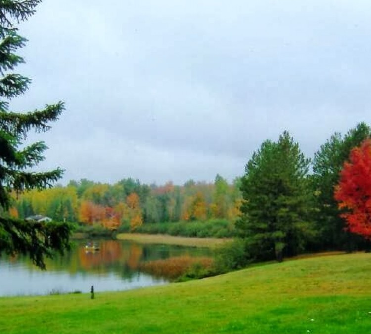 pine-lake-cabin-photo